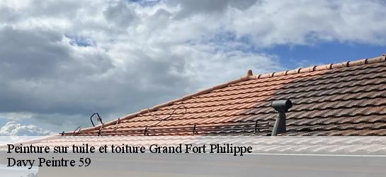 Peinture sur tuile et toiture  59153