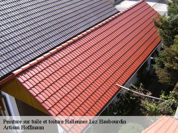 Peinture sur tuile et toiture  hallennes-lez-haubourdin-59320 Artisan Hoffmann
