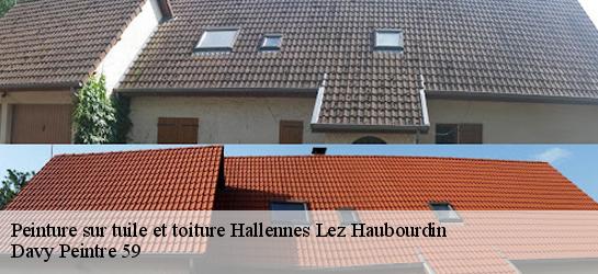 Peinture sur tuile et toiture  59320