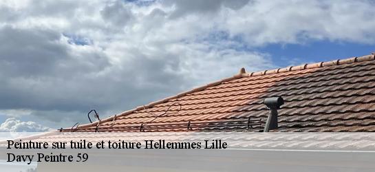 Peinture sur tuile et toiture  59260