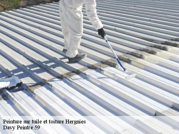 Peinture sur tuile et toiture  hergnies-59199 Davy Peintre 59