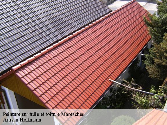 Peinture sur tuile et toiture  maresches-59990 TIRANT Rénovation 59