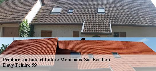 Peinture sur tuile et toiture  59224