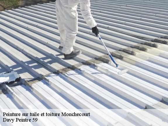 Peinture sur tuile et toiture  monchecourt-59234 Davy Peintre 59