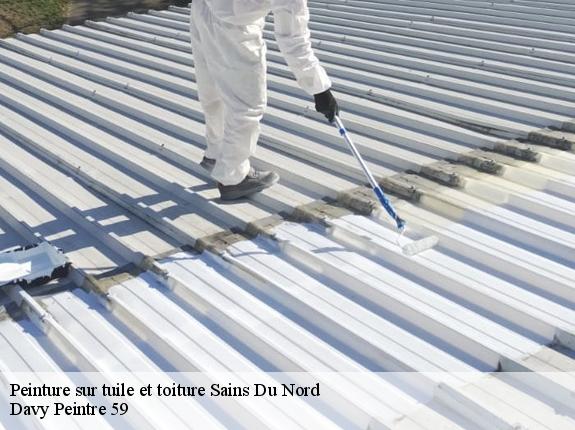 Peinture sur tuile et toiture  sains-du-nord-59177 Davy Peintre 59