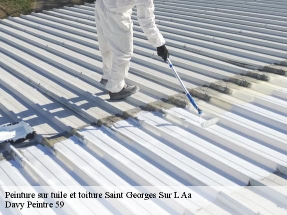Peinture sur tuile et toiture  saint-georges-sur-l-aa-59820 Davy Peintre 59