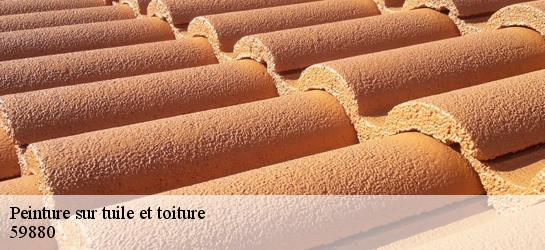Peinture sur tuile et toiture  59880