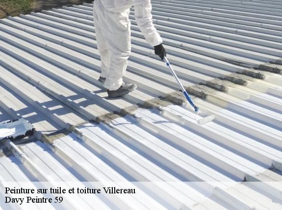 Peinture sur tuile et toiture  villereau-59530 Davy Peintre 59