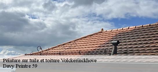 Peinture sur tuile et toiture  59470