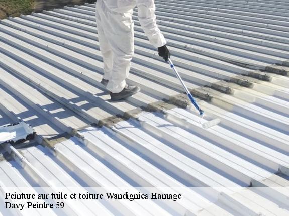 Peinture sur tuile et toiture  wandignies-hamage-59870 Davy Peintre 59
