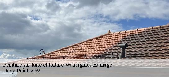 Peinture sur tuile et toiture  59870
