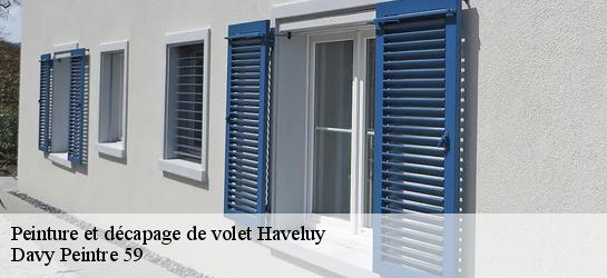 Peinture et décapage de volet  59255