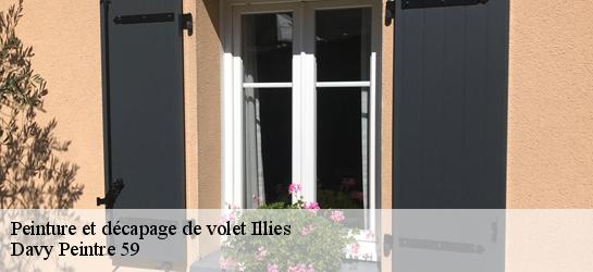 Peinture et décapage de volet  59480