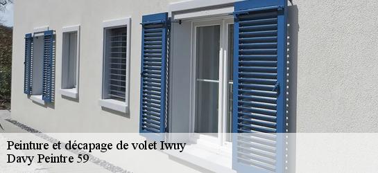 Peinture et décapage de volet  59141