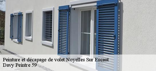 Peinture et décapage de volet 59159