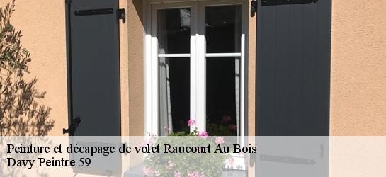 Peinture et décapage de volet  59530