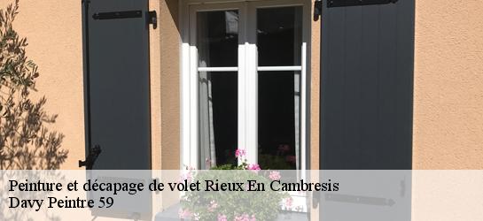 Peinture et décapage de volet  59277