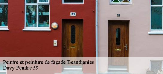 Peintre et peinture de façade  59530