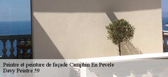 Peintre et peinture de façade  59780