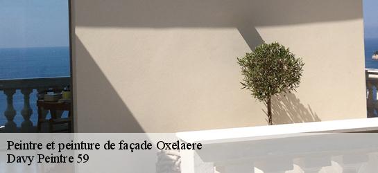 Peintre et peinture de façade  59670