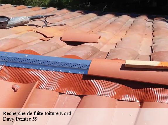 Recherche de fuite toiture 59 Nord  Davy Peintre 59