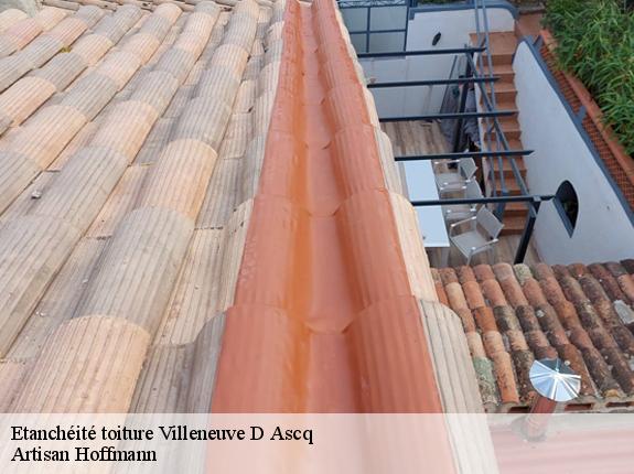 Etanchéité toiture  villeneuve-d-ascq-59491 Artisan Hoffmann