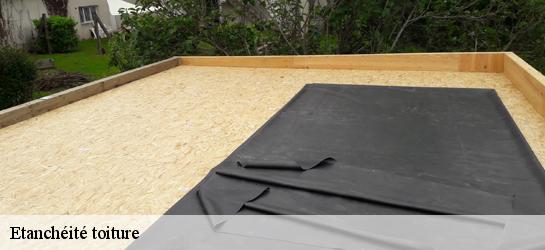 Etanchéité toiture  59161