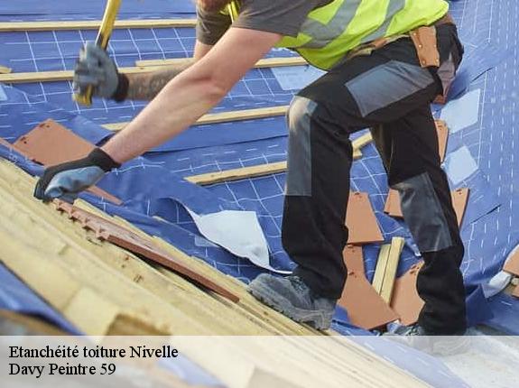 Etanchéité toiture  nivelle-59230 Davy Peintre 59