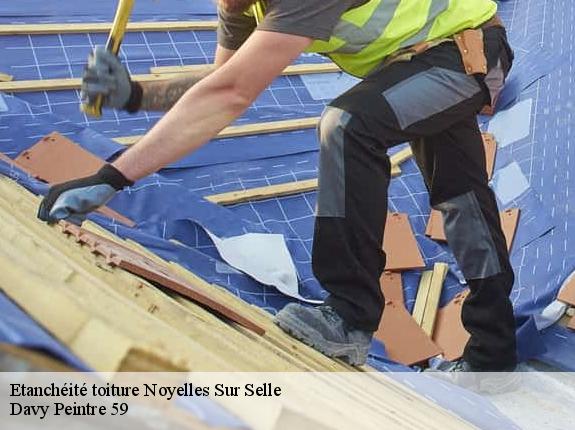 Etanchéité toiture  noyelles-sur-selle-59282 Davy Peintre 59
