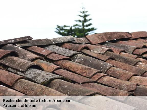 Recherche de fuite toiture  abancourt-59265 Artisan Hoffmann