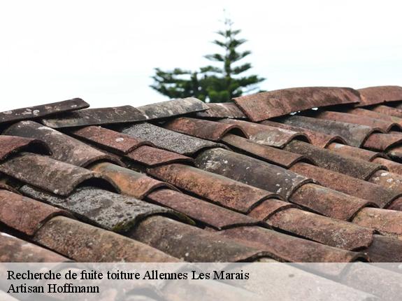 Recherche de fuite toiture  allennes-les-marais-59251 Artisan Hoffmann