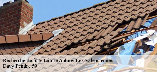 Recherche de fuite toiture  59300