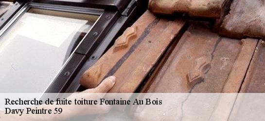 Recherche de fuite toiture 59550