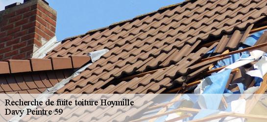 Recherche de fuite toiture  59492