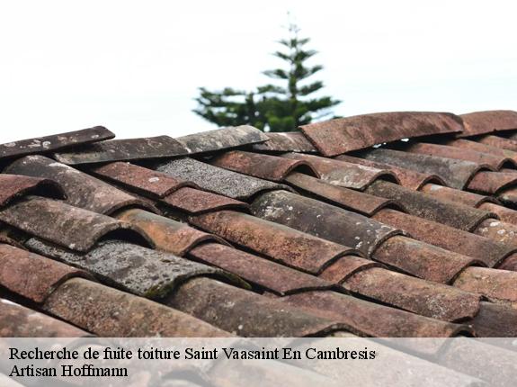 Recherche de fuite toiture  saint-vaasaint-en-cambresis-59188 Artisan Hoffmann