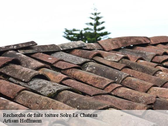 Recherche de fuite toiture  solre-le-chateau-59740 Artisan Hoffmann