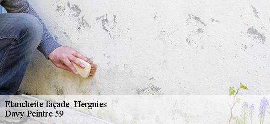 Etancheite façade   59199